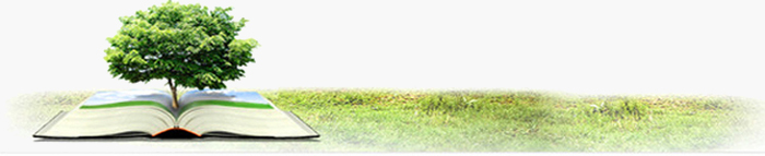 武漢智能星介紹