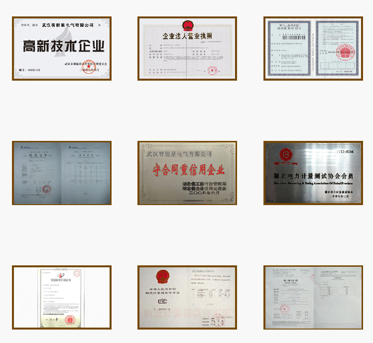武漢智能星企業資質